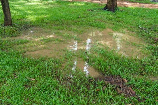 Cost of Storm Water Drainage Service in Ellicott City