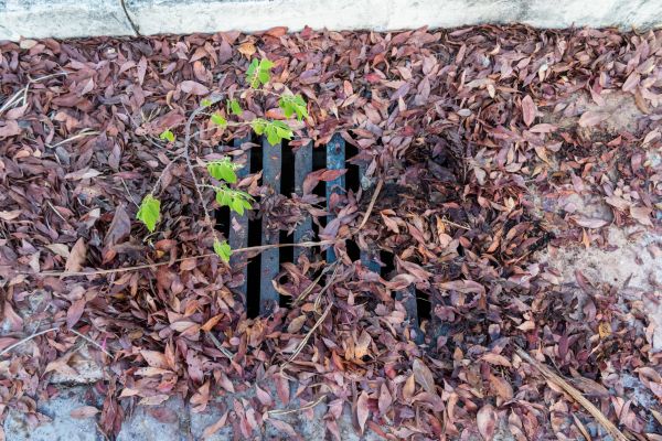 Yard Drain Unclogging in Ellicott City