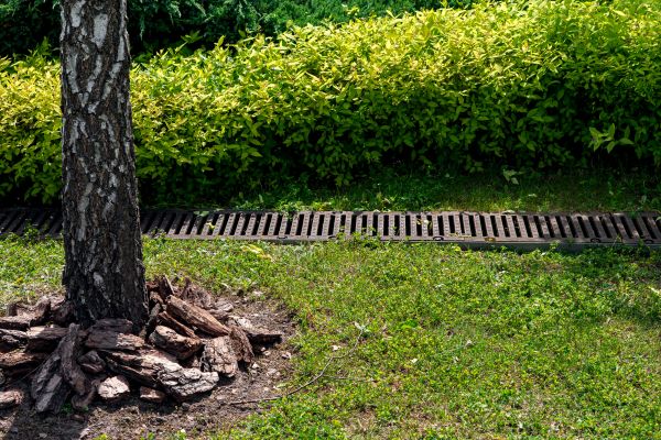 Cost of Yard Water Redirection in Ellicott City