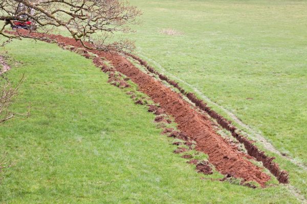 Cost of Swale Installation in Ellicott City