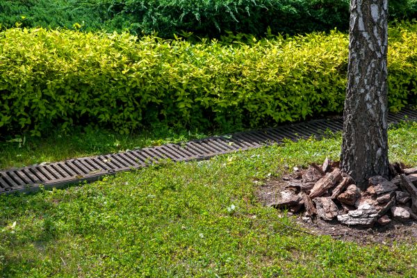 Cost of Residential Landscape Drainage in Ellicott City