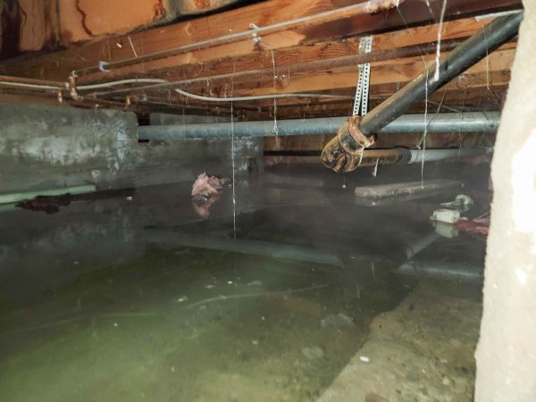 Cost of Crawlspace Drainage in Ellicott City