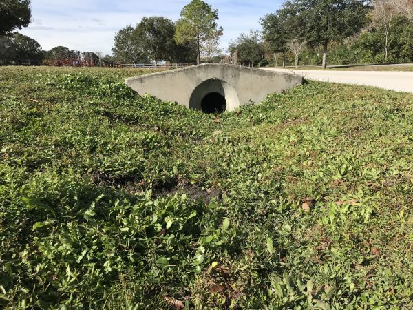 Cost of Swale Drainage Service in Ellicott City
